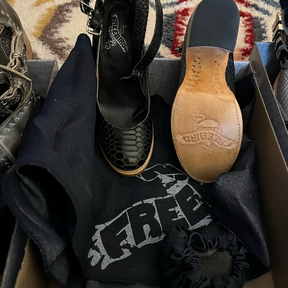 Freebird black snake Randi